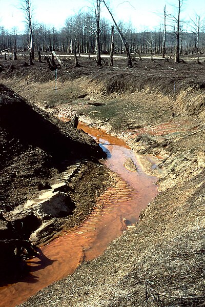 File:Seepage of iron-rich water.jpg