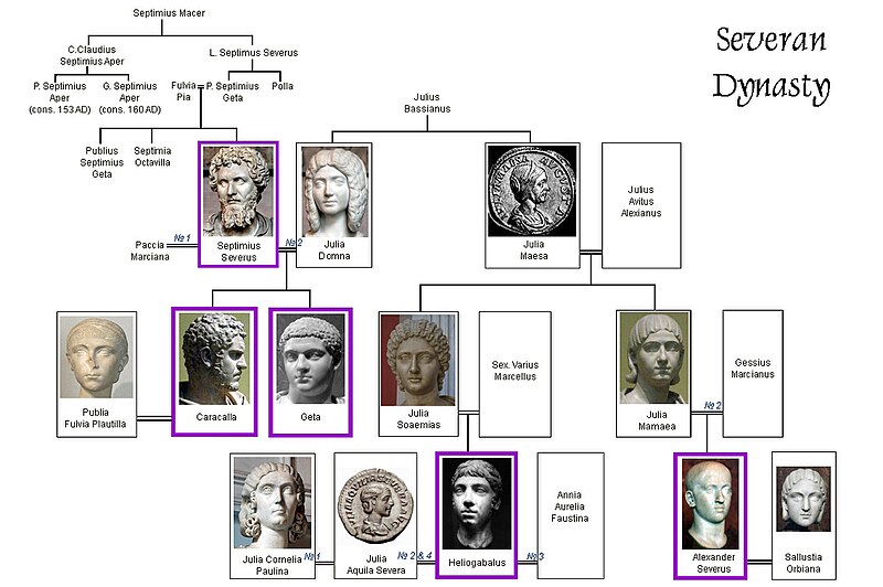 800px-Severan_dynasty_family_tree.jpg