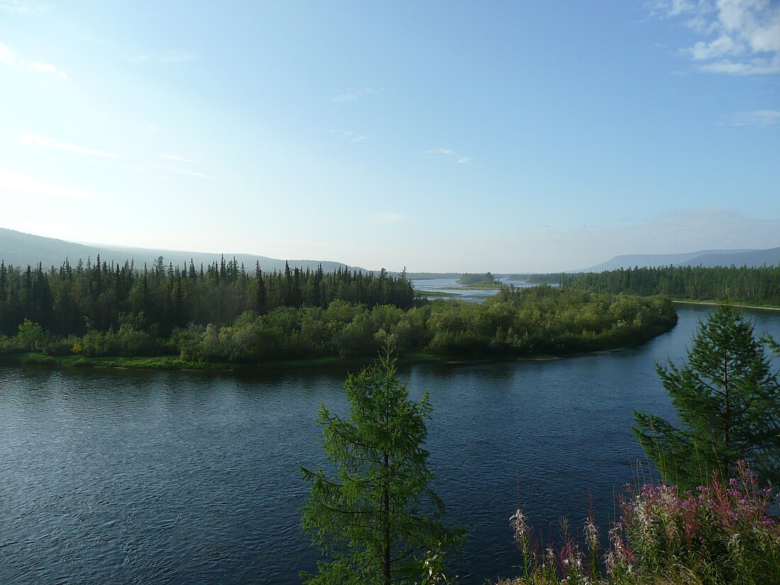 Nizhnyaya Tunguska (suba sa Rusya, lat 65,80, long 88,07)