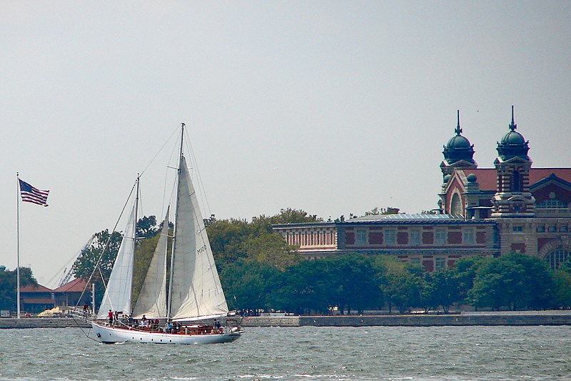 File:Shearwater by Ellis Island.JPG