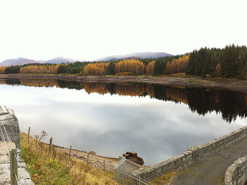 File:Shoreline of Loch Laggan - geograph.org.uk - 3237547.jpg