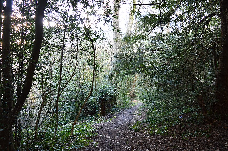 File:Shrubhill Common 2.JPG