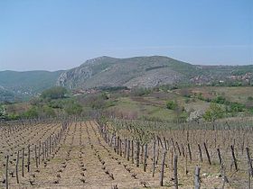 Sićevo je vinogradarsko-voćarsko i stočarsko-ratarsko seosko naselje zbijenog tipa, na dolinskim stranama i u podnožju Svrljiških planina
