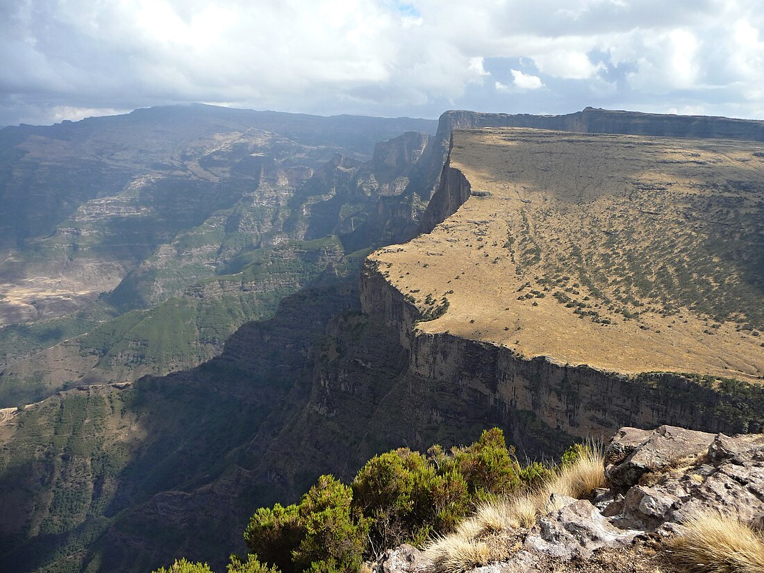 Amhara