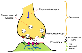 Кристиан Седьмой. Безумие и извращения датского короля.