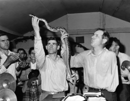 Snake handling at the Church of God with Signs Following at Lejunior in Harlan County, Kentucky, 15 September 1946 (NARA). Photo by Russell Lee. Snakehandling.png