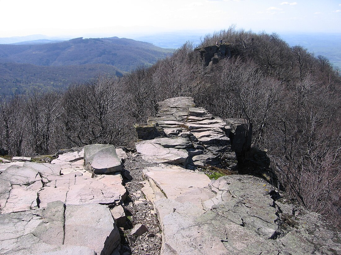 Vnitřní Východní Karpaty