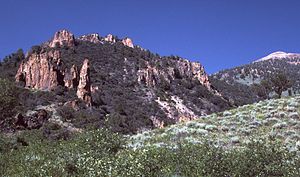 Snowslide Gulch in the Jarbidge Mountains and Jarbidge Wilderness Area. SnowslideGulchNV.jpg