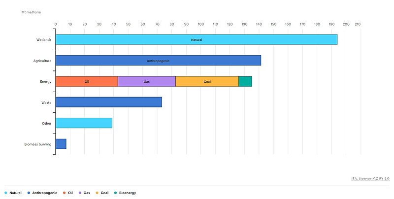 File:Sources of methane emissions, 2021.jpg