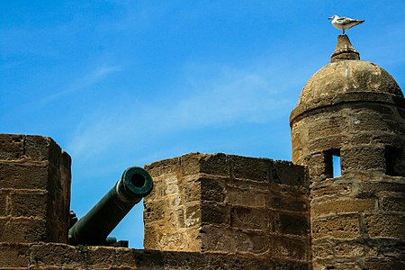 A cannon and an albatross at the old fort (Skala) of Essaouira by Farajiibrahim