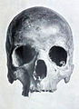 English: St. Wenceslas skull. Čeština: Lebka sv. Václava