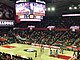 Stegeman Coliseum