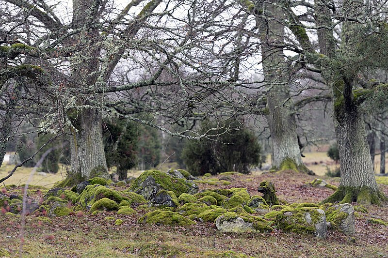 File:Stensättning eklandskap Skälstorp Vist 58 b.jpg