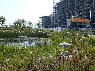 Construction at the West Don Lands from Corktown Common in 2013 Strolling the West Don Lands, 2013 08 21 (64).JPG - panoramio.jpg