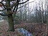 Studánky u Cerhovic