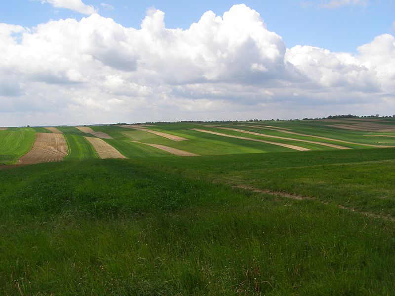File:Suloszowa krajobraz 4.jpg