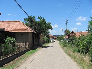 Tamnič Village in Bor District, Serbia
