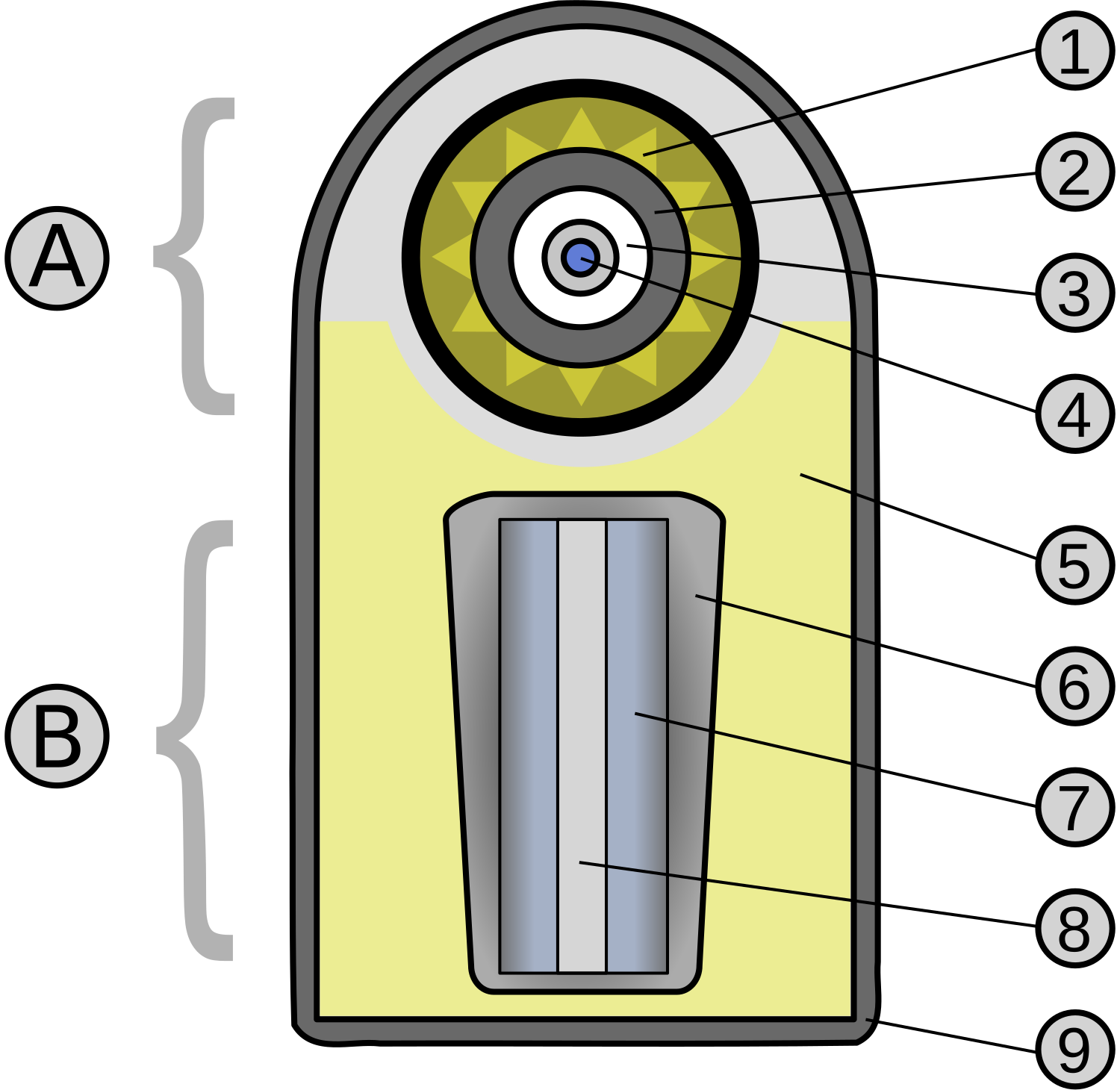 ivy mike diagram