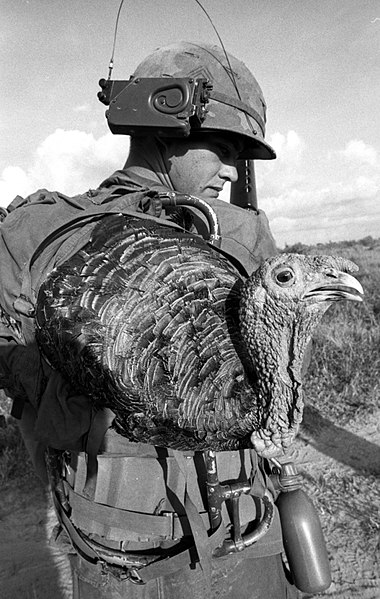 File:Thanksgiving in Vietnam 1967 photograph with Turkey on an U.S. infantry soldier's back.jpg