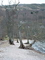The shore of Loch Tay at Kenmore - geograph.org.uk - 127081.jpg