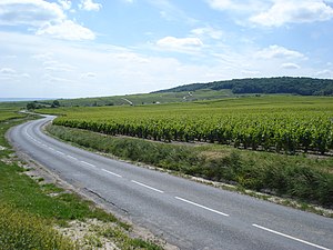 Habiter à Trépail