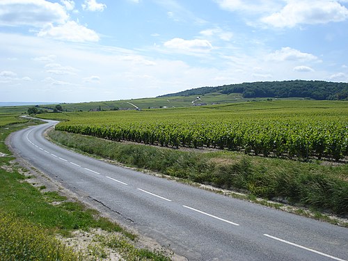 Rideau métallique Trépail (51380)