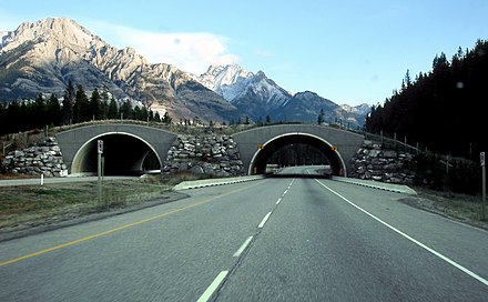 A wildlife overpass over the highway in Banff