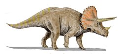 Triceratops BWMK.jpg