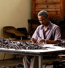 Man sorting Bourbon vanilla (2004)