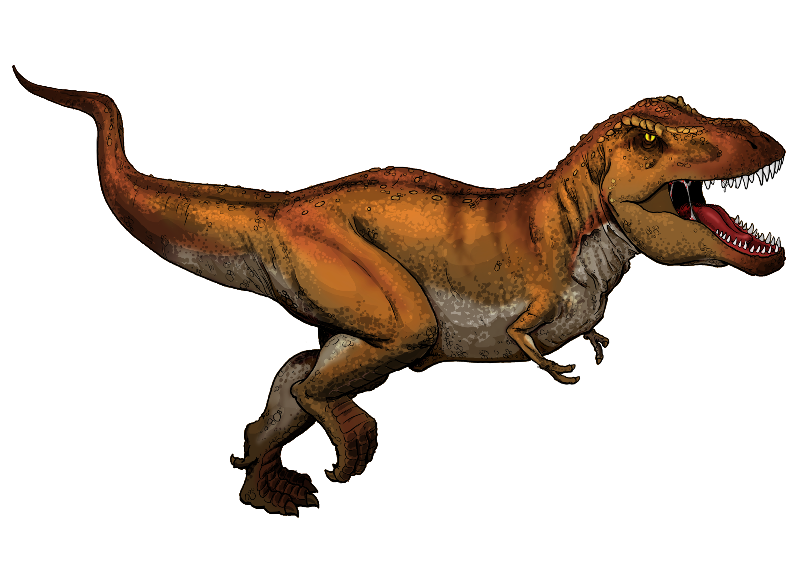 File:Tyrannosaurus Rex colored.png - Wikipedia