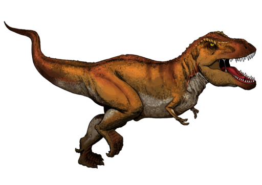 Tyrannosaurus Rex colored