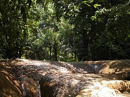 Ujung Kulon nationalpark 2002.