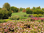 Arboretum der Universität von Kentucky - DSC09377.JPG