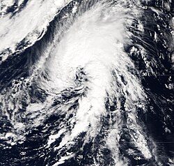 Imagine ilustrativă a articolului Furtună subtropicală Sans-Nom (2005)