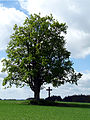 Čeština: Kříž u vsi Vepřová, okres Žďár nad Sázavou. English: Wayside cross near the village of Vepřová, Žďár nad Sázavou District, Vysočina Region, Czech Republic.