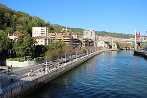 View from the Puente Pedro Arrupe - panoramio (2).jpg