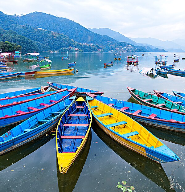 Image: View of Boats in Phewa Lake