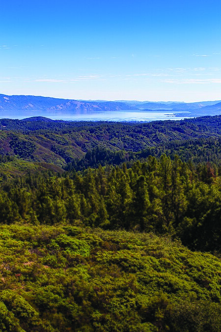 View over Cow Mountain