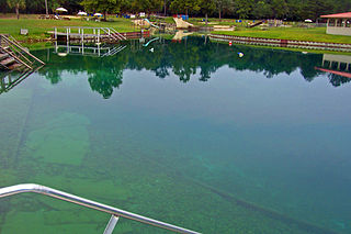 <span class="mw-page-title-main">Vortex Spring</span> Freshwater spring and recreational dive site in Florida