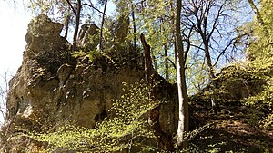 Burg Walterstein, Blick vom Graben zum Burgfels