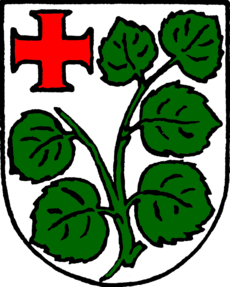 Wappen Schenklengsfeld.png