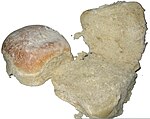 Waterford Blaa, bla or blah (bread of Ireland).jpg