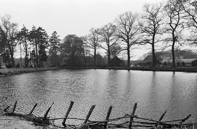 File:Waterradmolen, "De Gitstappermolen", overzicht. - Vlodrop - 20244570 - RCE.jpg