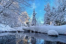 Winter scene in Algonquin Park WinterStream.jpg