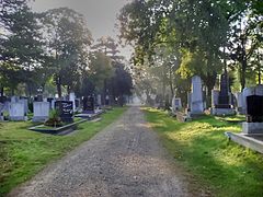 Category:Zentralfriedhof, Vienna - low quality images - Wikimedia Commons