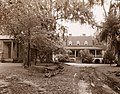 "The Eutaw," William Henry Sinkler house, Eutawville vicinity, Berkeley County, South Carolina. Drive to entrance.jpg