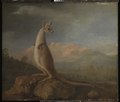 'The Kongouro from New Holland' (Kangaroo) RMG L6685-003.tiff