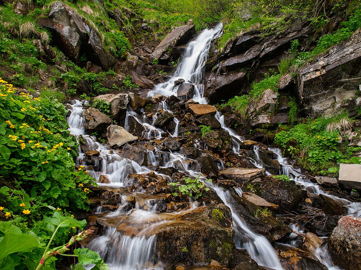 Куди піти на Прикарпатті: Дзембронські водоспади