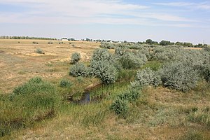 Домбаровка и одноименный посёлок