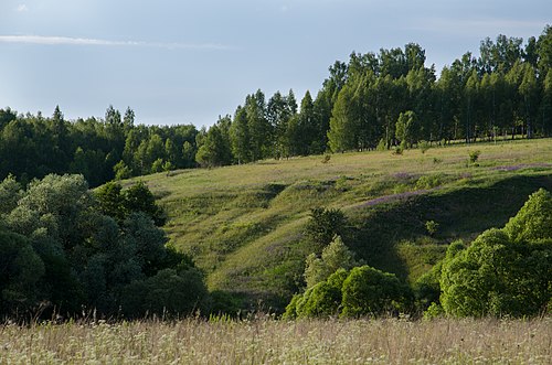 Засеки тула. Засека Тула. Тульские Засеки. Заповедники Тульской области. Одоевские Засеки.